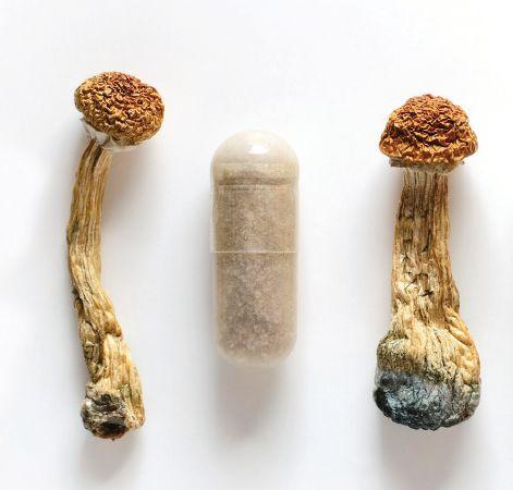 Order psilocybin Birmingham Order psilocybin Birmingham
