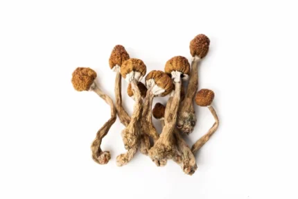 Buy Liberty Cap Online Europe