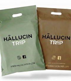 Wonka Mushroom Chocolate Bars Europe